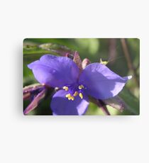 Hitchhiker Metal Print