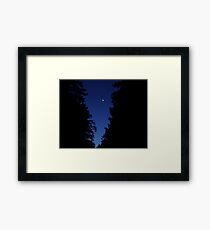 Venus In The Trees Framed Print