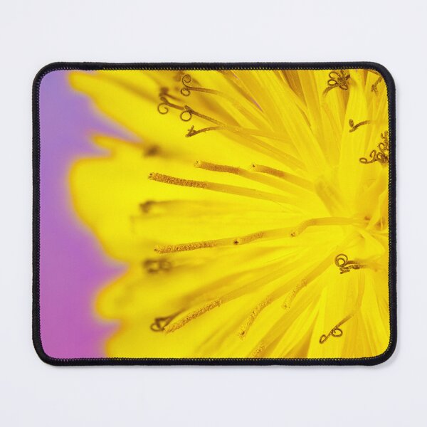 Item preview, A macro photography of a taraxacum officinale designed and sold by Giuseppe Cammino.