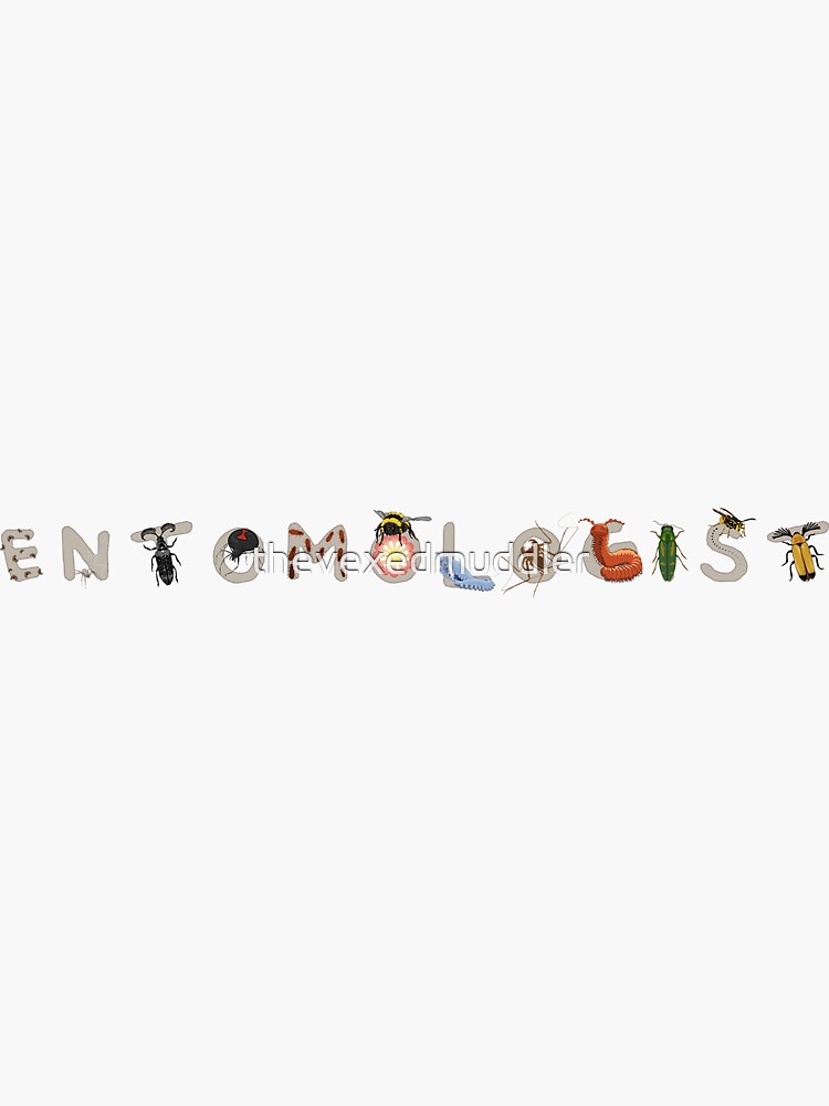 Entomologist by thevexedmuddler