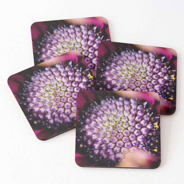 Item preview, Macro photography of a purple cape daisy designed and sold by Giuseppe Cammino.