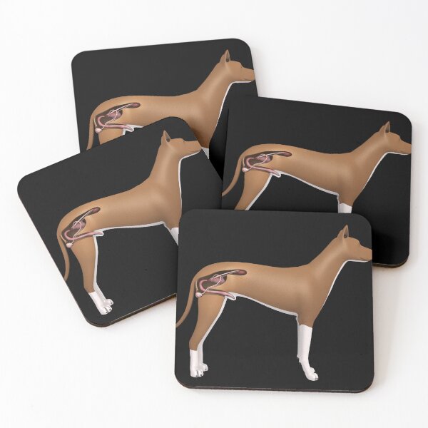 Item preview, STK701288H-Urinary system of a male dog. designed and sold by StocktrekImages.