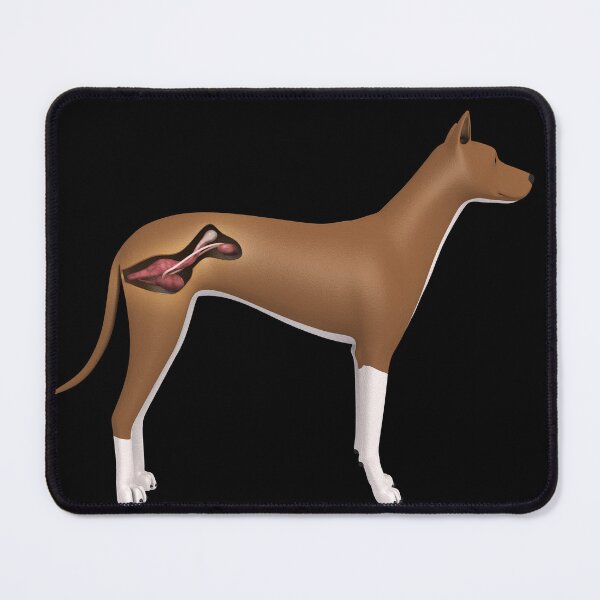 Item preview, STK701290H-Urinary system of a female dog. designed and sold by StocktrekImages.