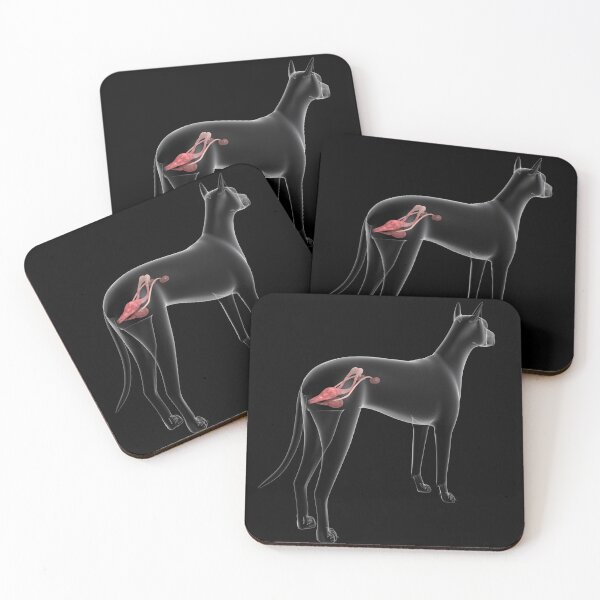 Item preview, STK701292H-Urinary system in a female dog, x-ray view. designed and sold by StocktrekImages.