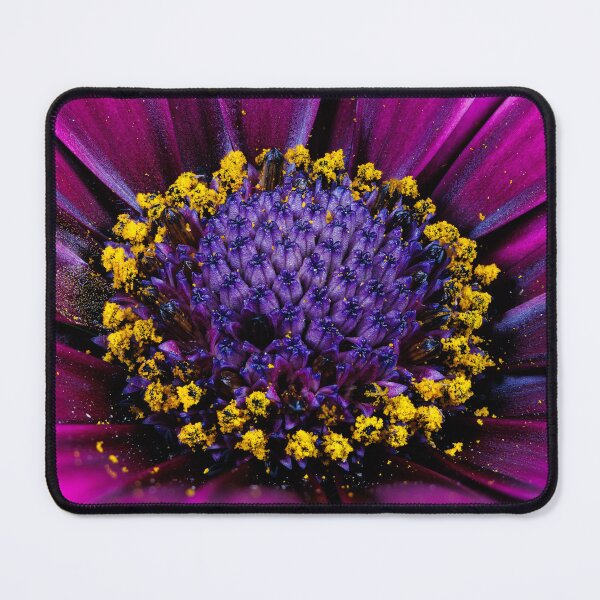 Item preview, Macro photography of a purple cape daisy designed and sold by Giuseppe Cammino.