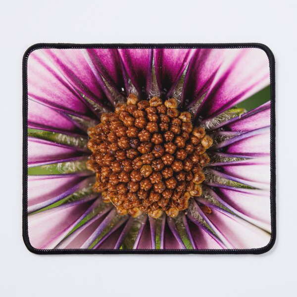 Item preview, Macro photography of a purple cape daisy designed and sold by Giuseppe Cammino.