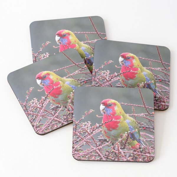 Item preview, rosella designed and sold by Bob-tography.