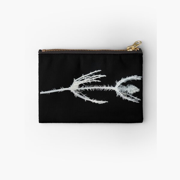 Item preview, stonewort alga fixed with ethanol; plant anatomy, microscopy designed and sold by everydaybotany.