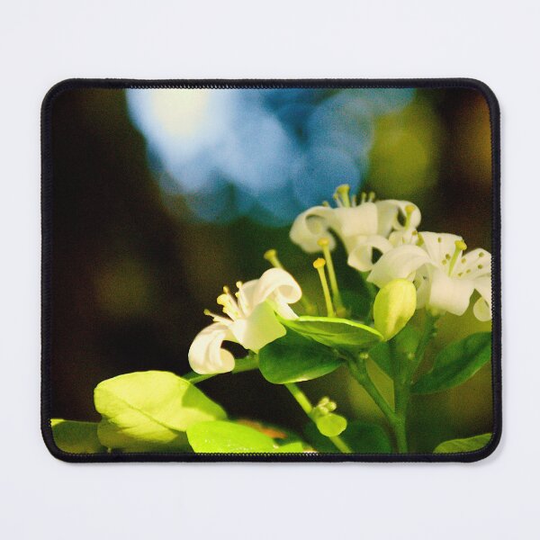 Item preview, Flores de jazmín con bokeh designed and sold by MercerImages.