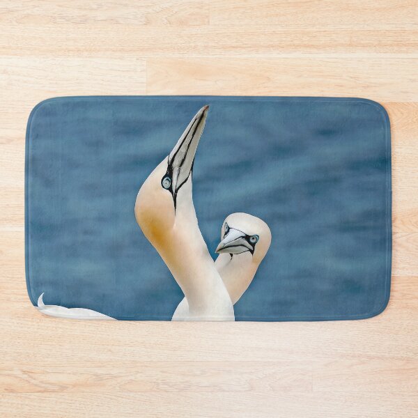 Item preview, Two Gannets on Bempton Ciffs designed and sold by mhfore.