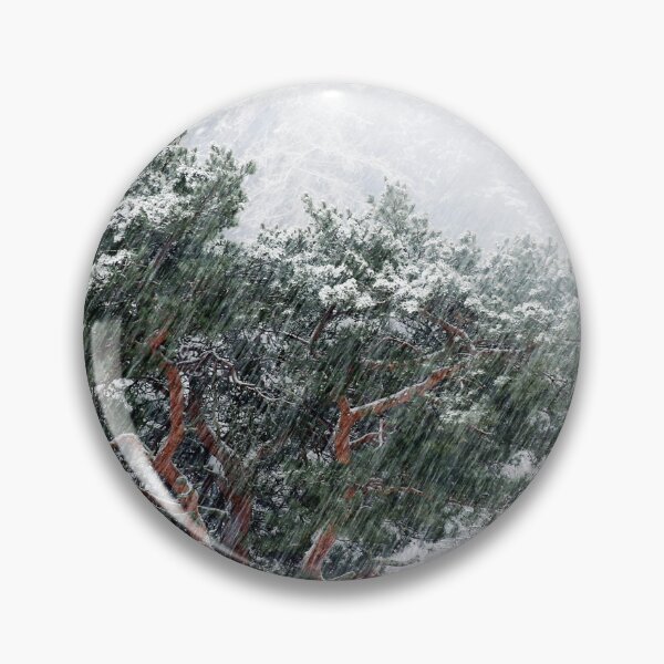 Item preview, 20.11.2023: Pine Tree in Snowfall designed and sold by Petri Volanen.