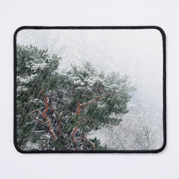 Item preview, 20.11.2023: Pine Tree in Snowfall designed and sold by Petri Volanen.