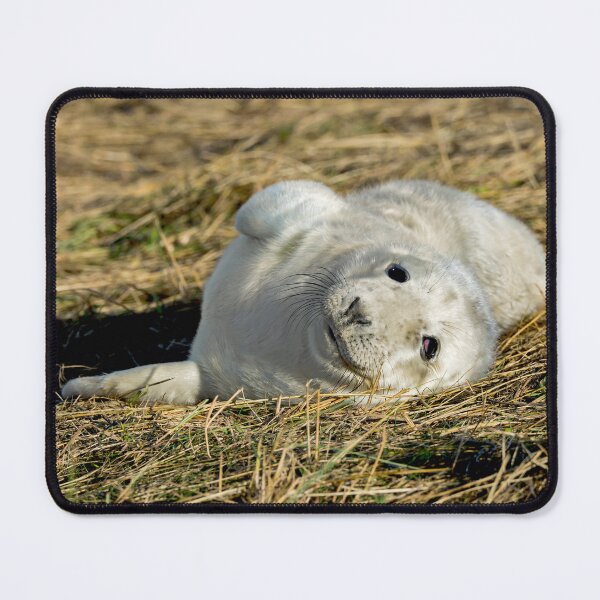 Item preview, Grey Seal Pup designed and sold by mhfore.