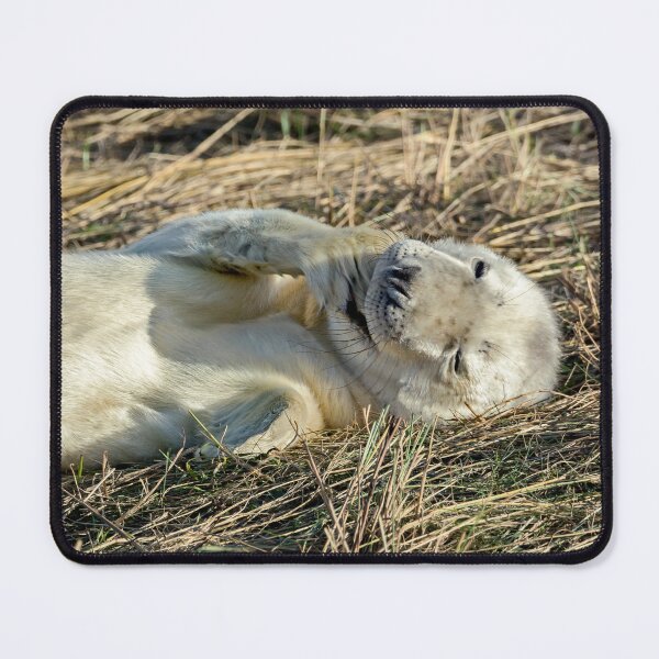 Item preview, Grey Seal Pup designed and sold by mhfore.
