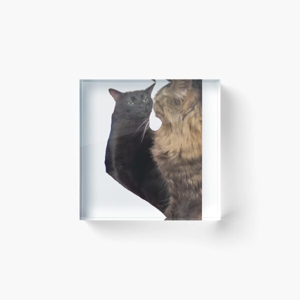 Item preview, cat zoning out designed and sold by Reo12.