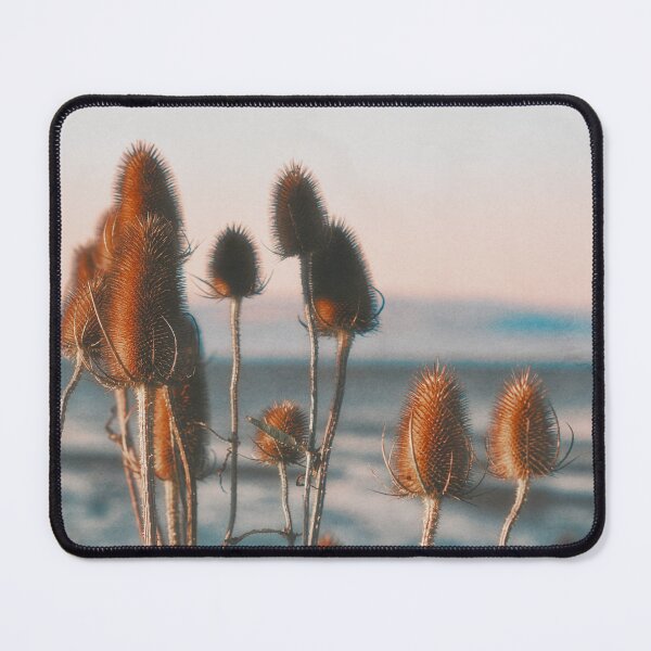 Item preview, Scottish Teasels designed and sold by ElderIslesPress.