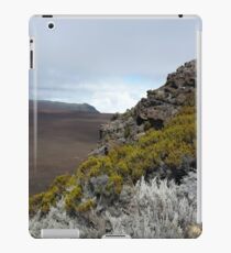 LANDSCAPE iPad Case/Skin