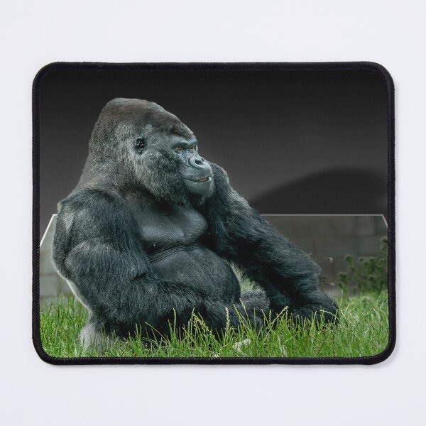Item preview, Pop-up Gorilla designed and sold by mhfore.