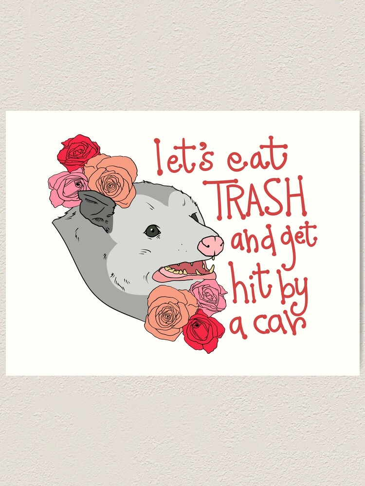 Lets Eat Trash Tonight And Get Hit By Cars Oppressive Opossum