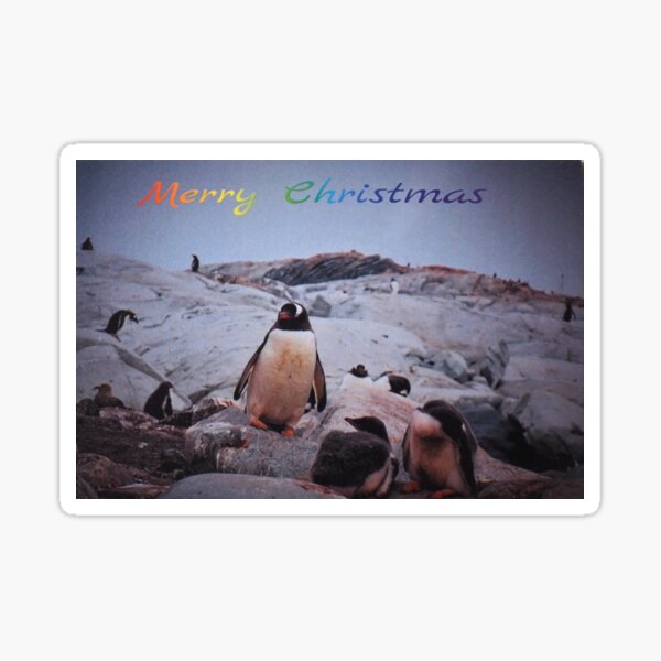 Item preview, Gentoo Penguin Nursery, Antarctica designed and sold by Bev Pascoe.