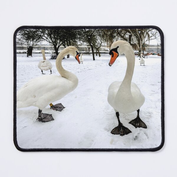 Item preview, Snow Patrol designed and sold by mhfore.
