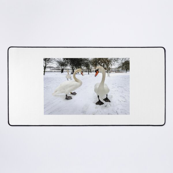 Item preview, Snow Patrol designed and sold by mhfore.