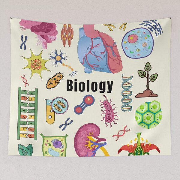 Item preview, Biology phd  designed and sold by We Grow.