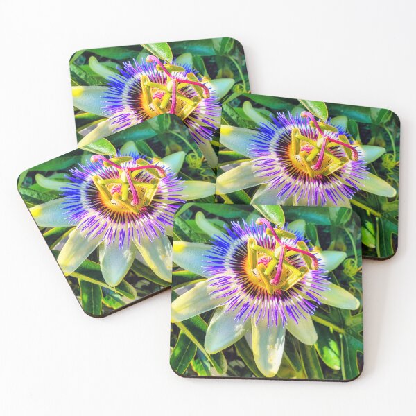 Item preview, Common Passion Fruit Flower designed and sold by Marco Sales.