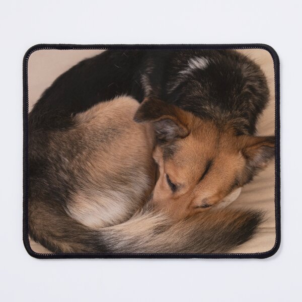 Item preview, Donut Dog designed and sold by Calidris Fotografie Steffi & Ben Köppler.