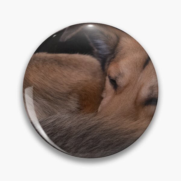 Item preview, Sleeping dog designed and sold by Calidris Fotografie Steffi & Ben Köppler.