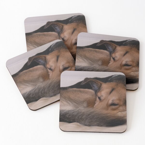 Item preview, Sleeping dog designed and sold by Calidris Fotografie Steffi & Ben Köppler.