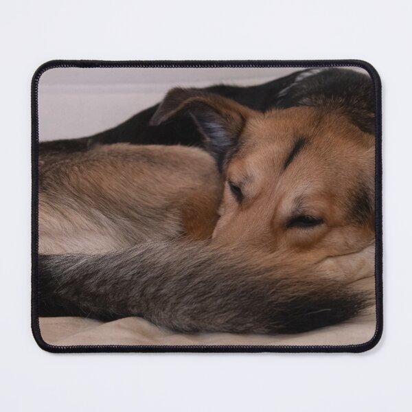 Item preview, Sleeping dog designed and sold by Calidris Fotografie Steffi & Ben Köppler.