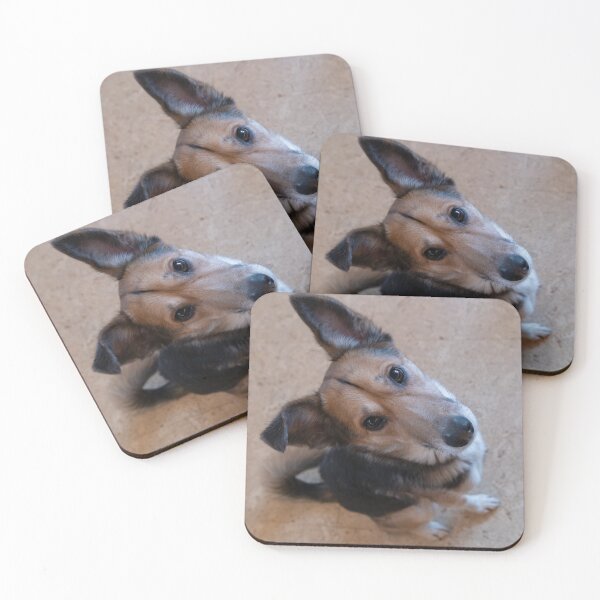 Item preview, Dog looking up designed and sold by Calidris Fotografie Steffi & Ben Köppler.