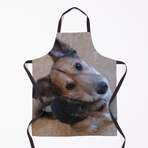 Item preview, Dog looking up designed and sold by Calidris Fotografie Steffi & Ben Köppler.
