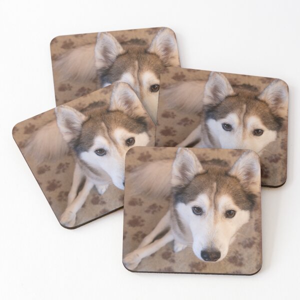 Item preview, Husky looking up designed and sold by Calidris Fotografie Steffi & Ben Köppler.