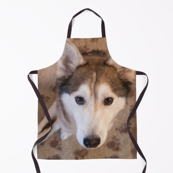 Item preview, Husky looking up designed and sold by Calidris Fotografie Steffi & Ben Köppler.