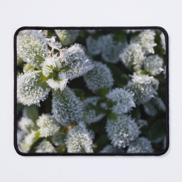 Item preview, Hoarfrost designed and sold by Calidris Fotografie Steffi & Ben Köppler.