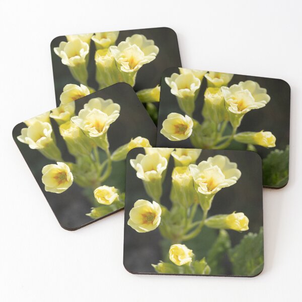 Item preview, Cowslip Primrose, designed and sold by Calidris Fotografie Steffi & Ben Köppler.