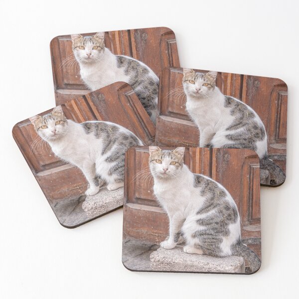 Item preview, Cats in Morocco designed and sold by rmc314.