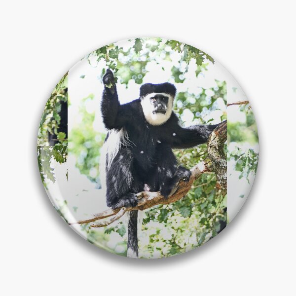 Item preview, vr 3513 - 4/ finition 2023 - vallée des singes: Singes : le Colobe en Portrait -  Okaio Créations Olavia-Olao designed and sold by o.okaïo.