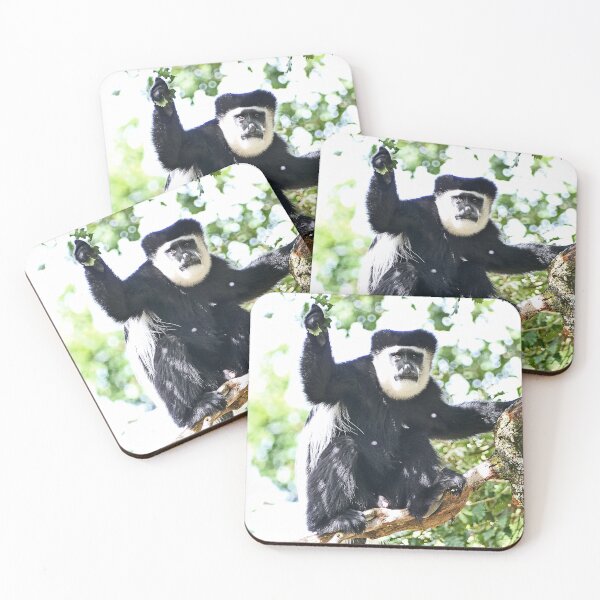 Item preview, vr 3513 - 4/ finition 2023 - vallée des singes: Singes : le Colobe en Portrait -  Okaio Créations Olavia-Olao designed and sold by o.okaïo.