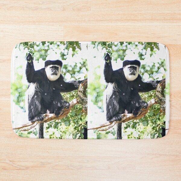 Item preview, vr 3513 - 4/ finition 2023 - vallée des singes: Singes : le Colobe en Portrait -  Okaio Créations Olavia-Olao designed and sold by o.okaïo.