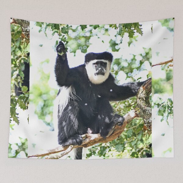 Item preview, vr 3513 - 4/ finition 2023 - vallée des singes: Singes : le Colobe en Portrait -  Okaio Créations Olavia-Olao designed and sold by o.okaïo.