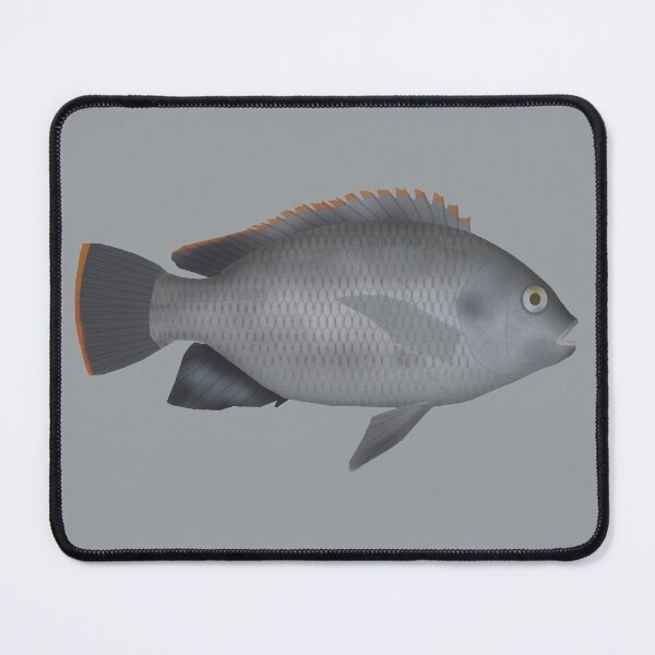 Item preview, Victoria Tilapia designed and sold by fishfolkart.