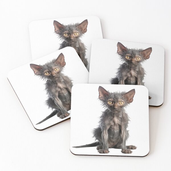 Item preview, Lykoi Cat designed and sold by Sp3ctrumOfColor.