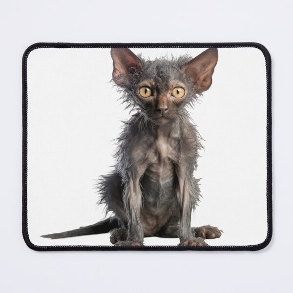 Item preview, Lykoi Cat designed and sold by Sp3ctrumOfColor.