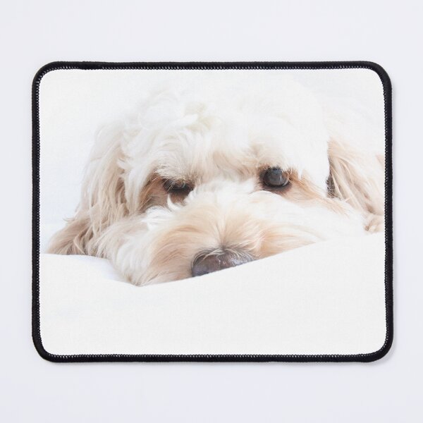 Item preview, Lulu the Cockerpoo designed and sold by JuliaGeens.