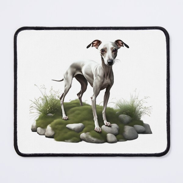 Item preview, Beautiful Italian greyhound designed and sold by Kaleddis.