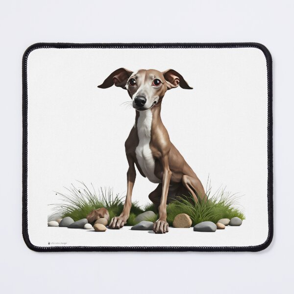 Item preview, Beautiful Italian greyhound designed and sold by Kaleddis.