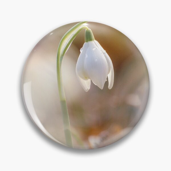 Item preview, Digital photograph of a Snowdrop flower designed and sold by SimonJohnson1.